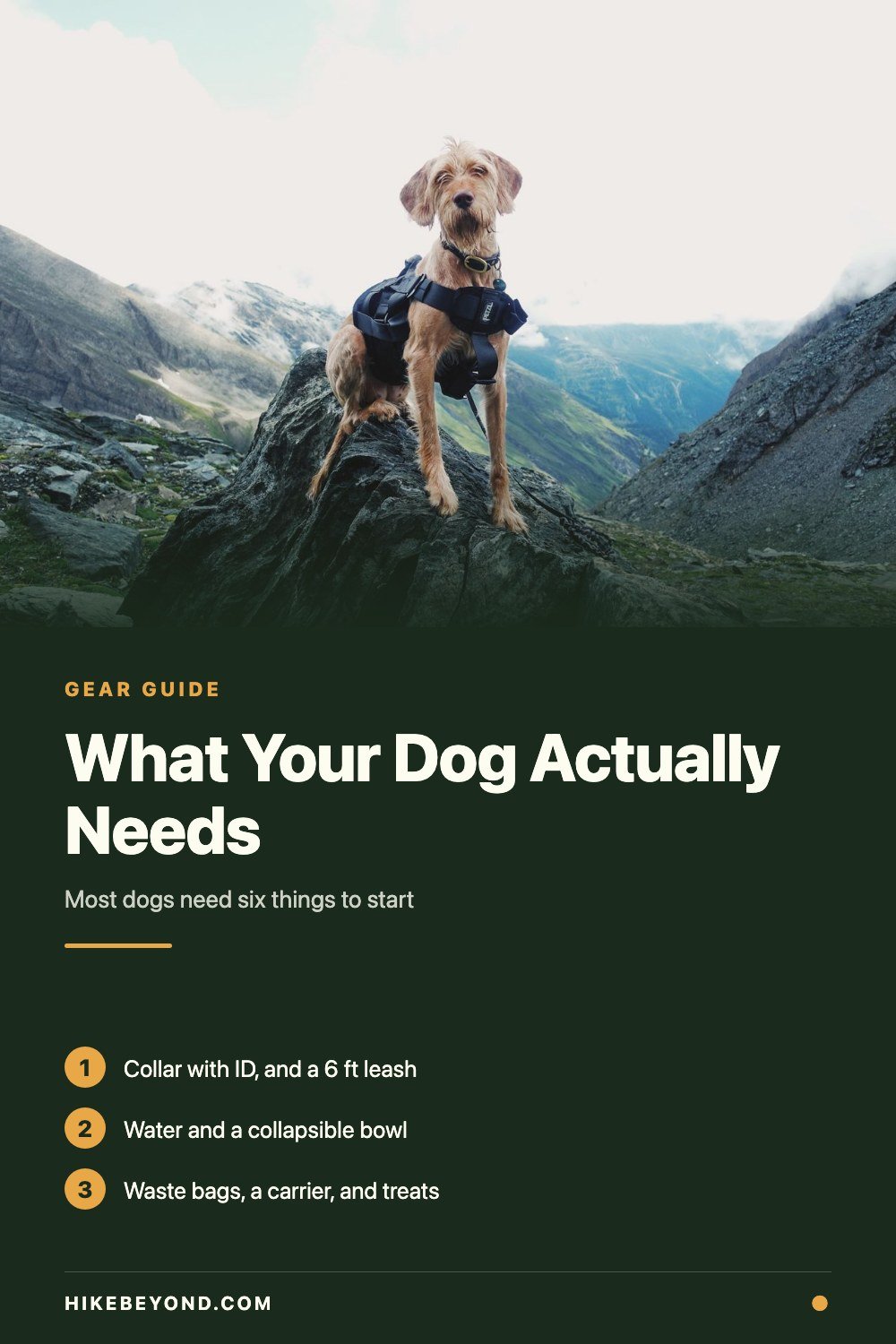 Pinterest pin: what your dog actually needs on a hike, and what can wait