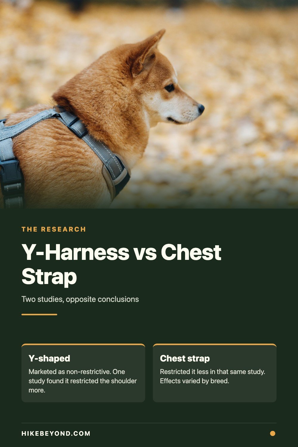 Pinterest pin: Y-harness versus chest strap, what the studies actually found