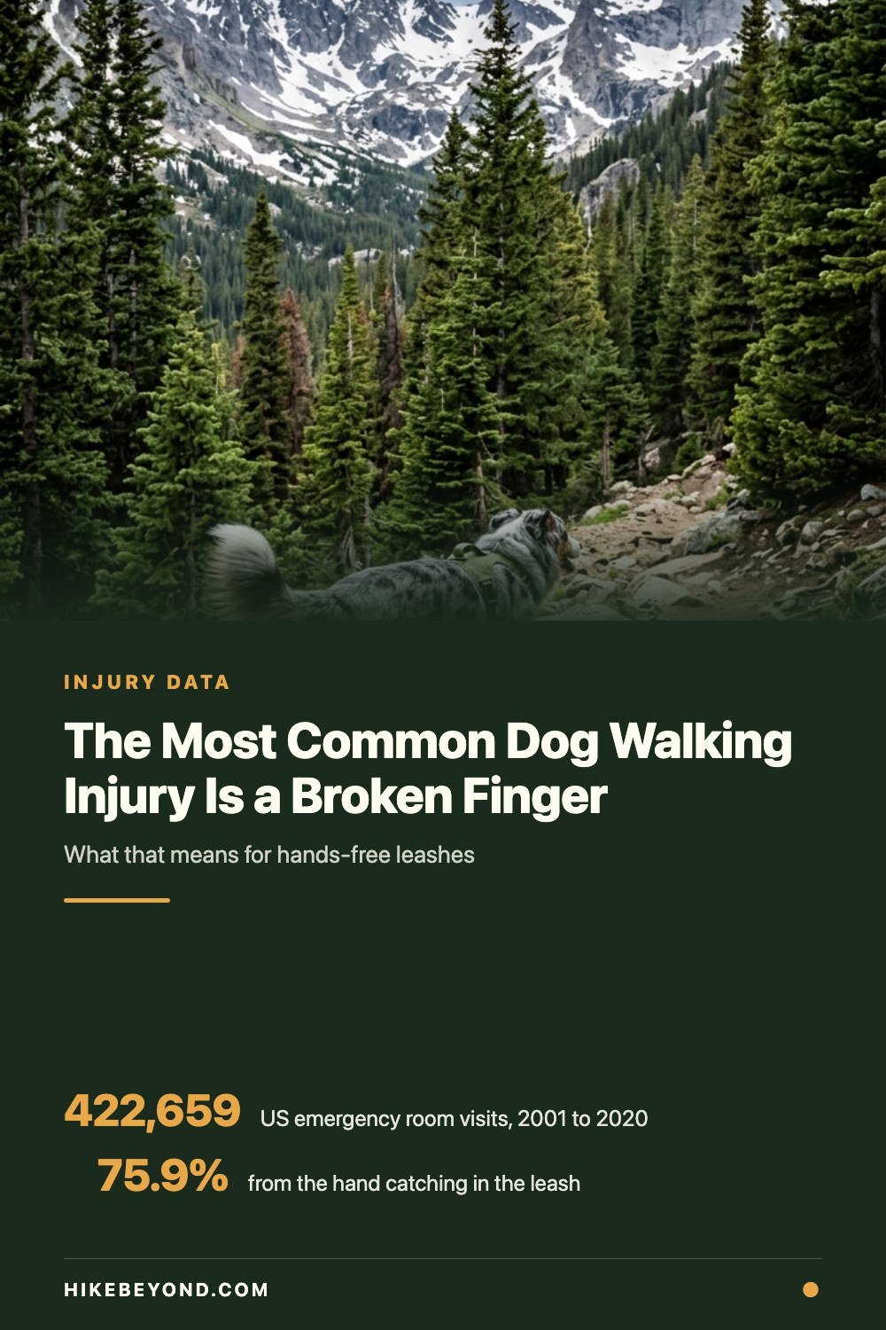 Pinterest pin: the most common dog walking injury is a broken finger