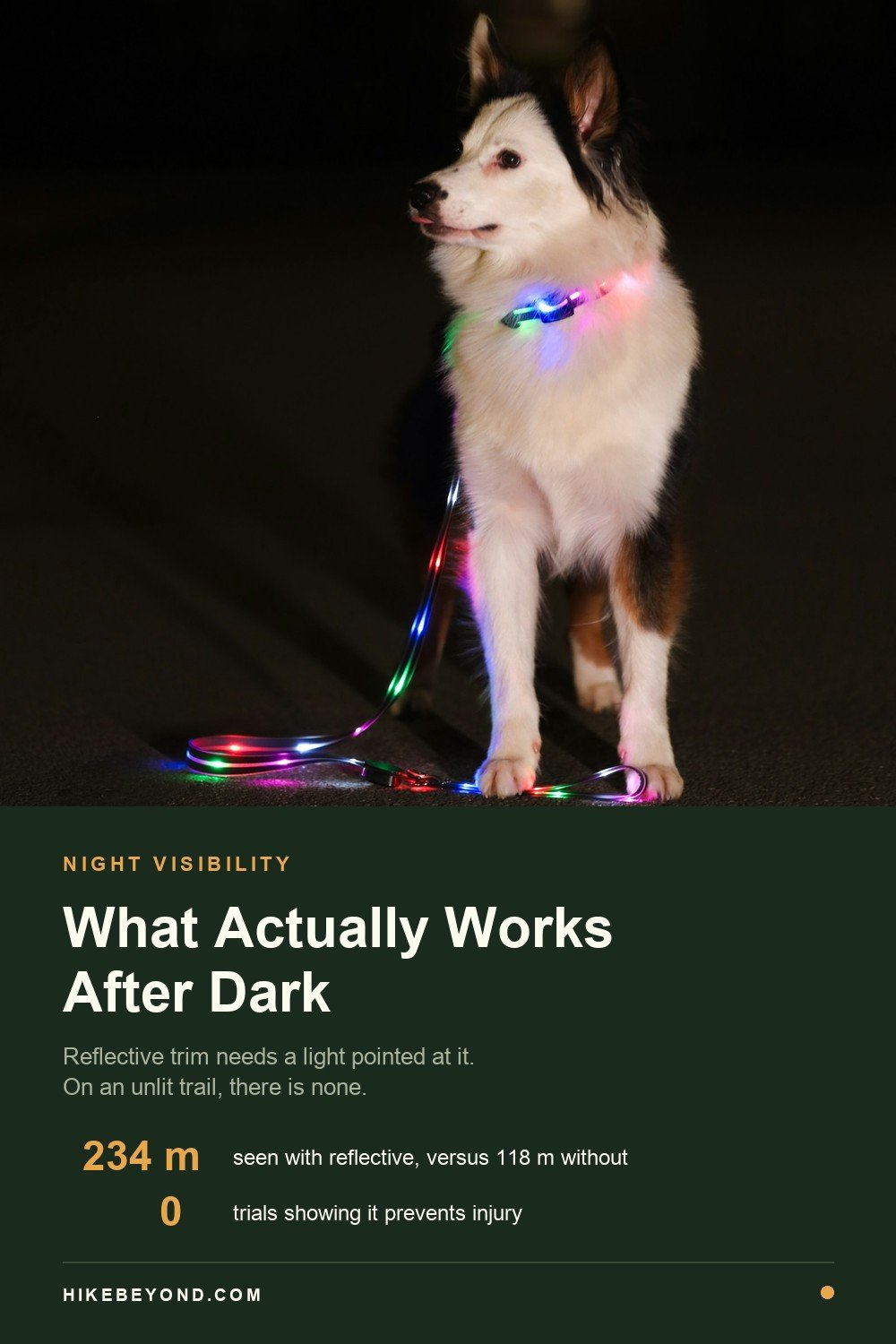 Pinterest pin: what actually works after dark, a Border Collie at night wearing a lit LED collar and LED leash.