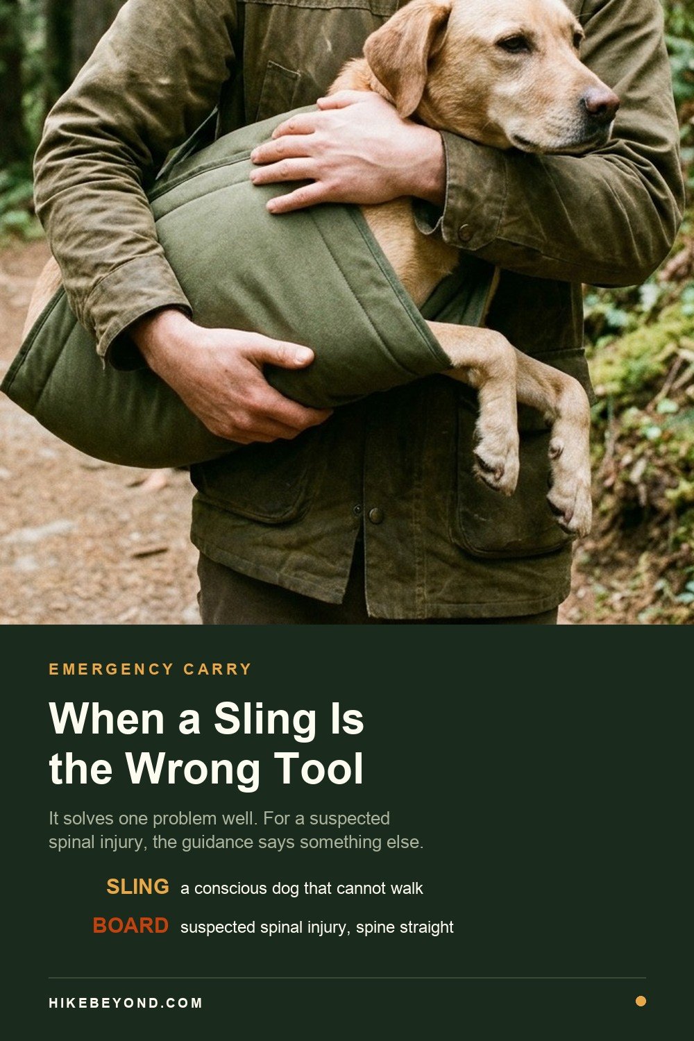 Pinterest pin: when a sling is the wrong tool, a dog carried in an emergency sling on a forest trail.